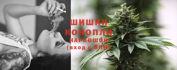 ГАЛЛЮЦИНОГЕННЫЕ ГРИБЫ Саяногорск