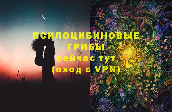 сатива Алексин