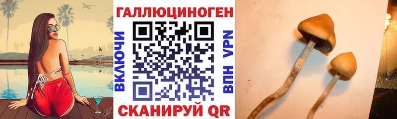 ОМГ ОМГ рабочий сайт  Заволжск  Галлюциногенные грибы GOLDEN TEACHER 