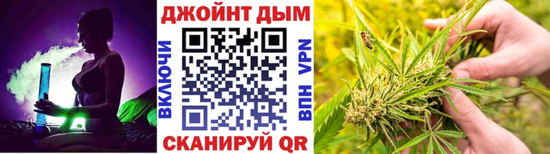 Канабис конопля  что такое   Заволжск 